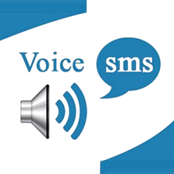 Voice SMS Services Surat